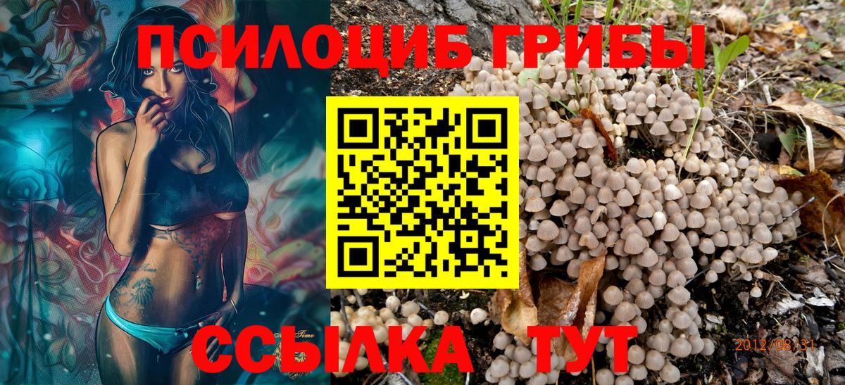где продают   Галлюциногенные грибы Magic Shrooms  Вход с VPN  Котлас  Псилоцибиновые грибы GOLDEN TEACHER 