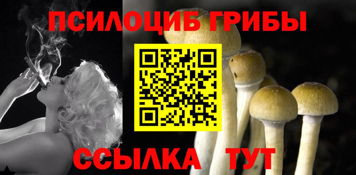 Галлюциногенные грибы Magic Shrooms Котлас